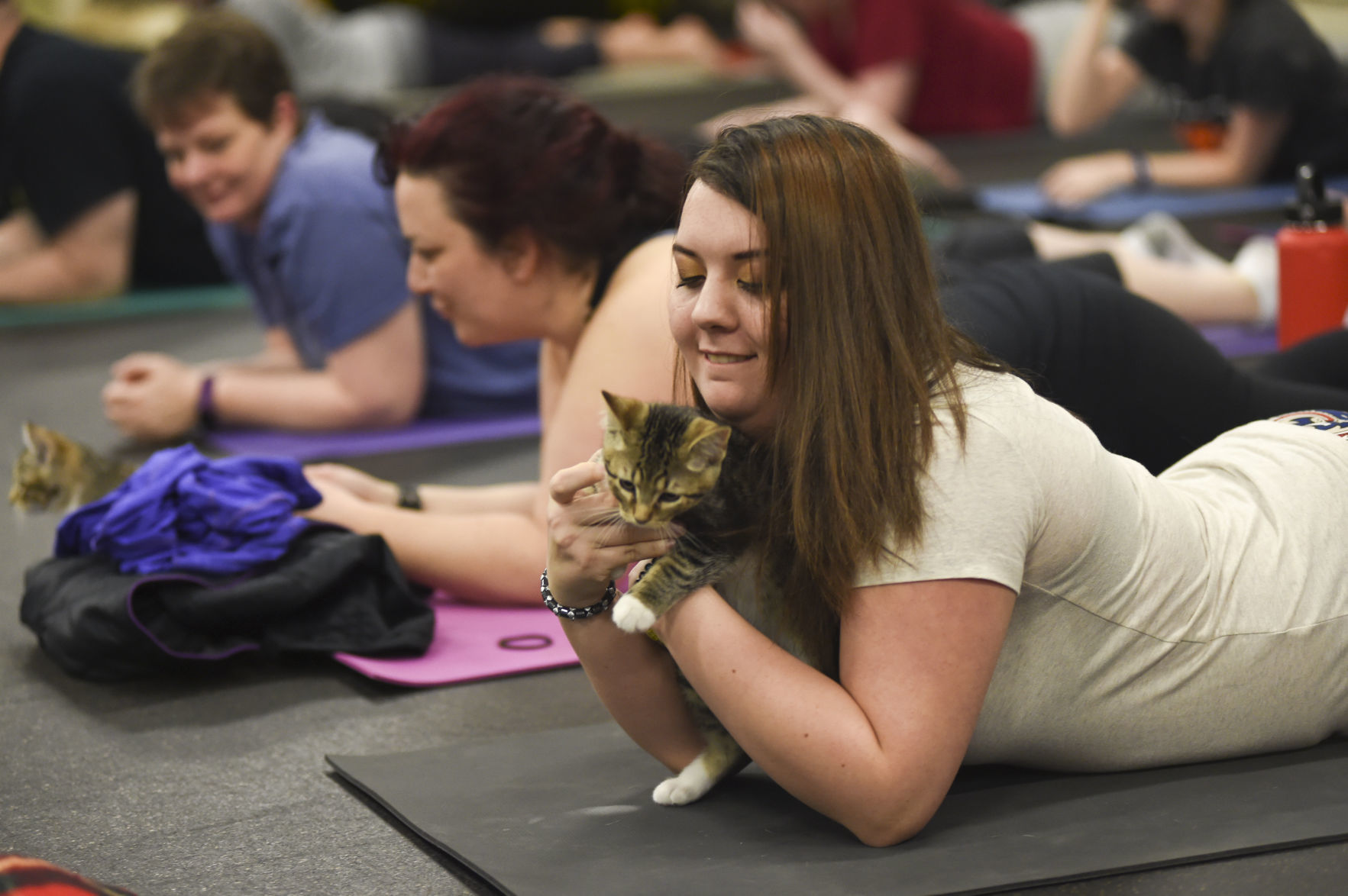 Kitten Yoga 4